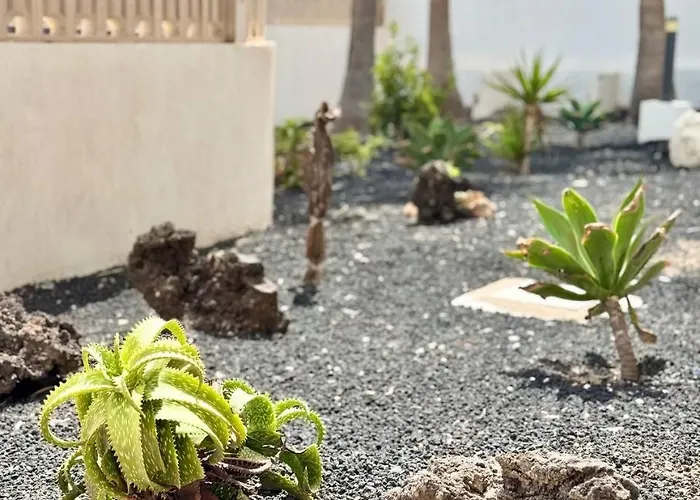 Elixir Estate Daire *